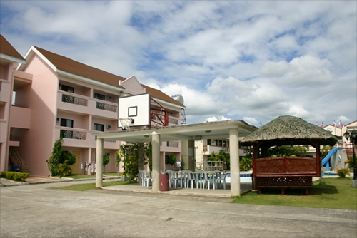 English Fella 1 バスケットコート