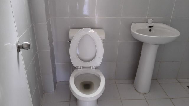 English Fella 2_トイレ