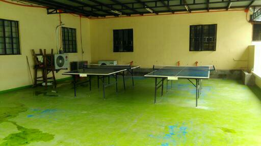 Help Clark_卓球台