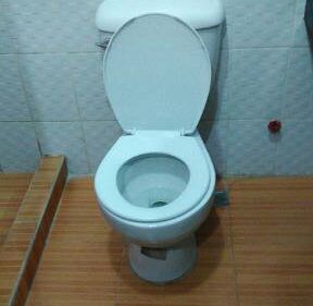 PINES チャピス校_トイレ